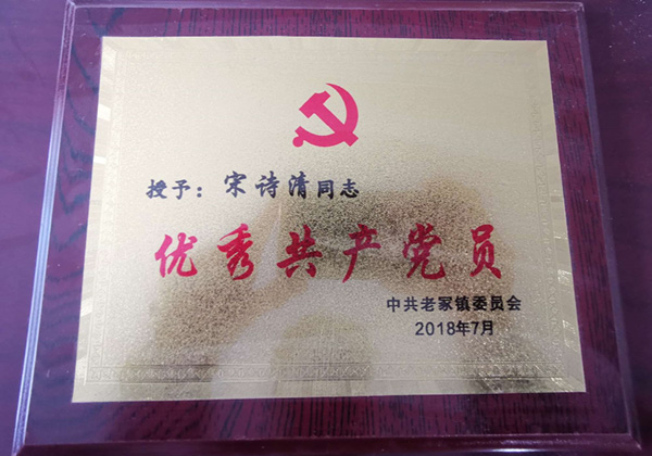 授予：宋诗清同志优秀共产党员